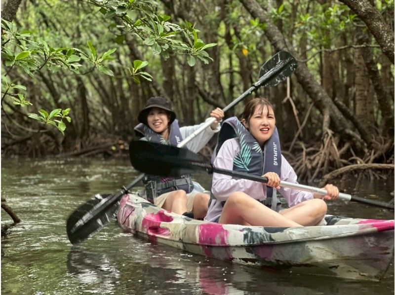 【石垣島・1組貸し切り】絶景の海＆マングローブ&上陸探索♪ 4kドローン撮影と5,4kゴープロ無料撮影付き!! クリアサップorクリアカヌーの紹介画像