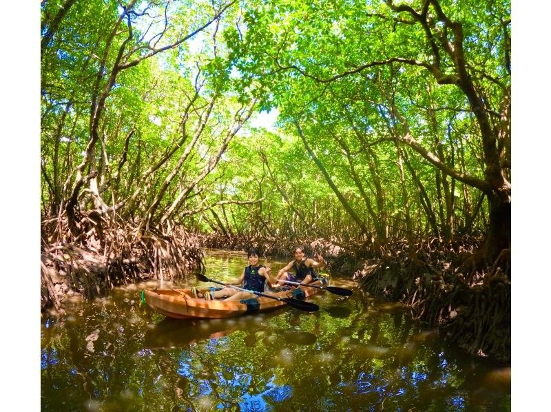 【石垣島・1組貸し切り】絶景の海＆マングローブ&上陸探索♪ 4kドローン撮影と5,4kゴープロ無料撮影付き!! クリアサップorクリアカヌーの紹介画像