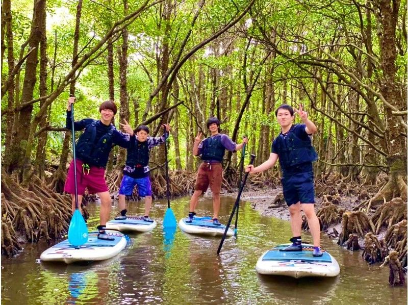 【石垣島・1組貸し切り】絶景の海＆マングローブ&上陸探索♪ 4kドローン撮影と5,4kゴープロ無料撮影付き!! クリアサップorクリアカヌーの紹介画像