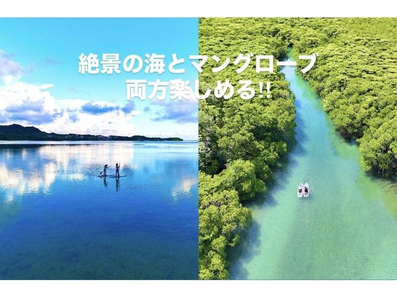 【石垣島】《人気急上昇中!!》サンセット&星空ナイト&ナイトマングローブ探検‼️3つのプランが凝縮!!♪選んで遊ぶ【カヌーorサップ】の紹介画像