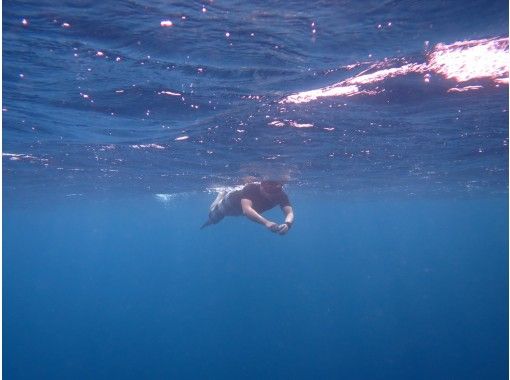 宮古島 お一人様プラン 送迎 ウエットスーツ付き 行きたいシュノーケリングポイントへプライベートツアーでご案内 アクティビティジャパン