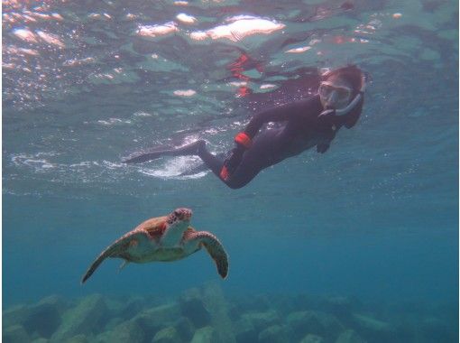 宮古島 お一人様プラン 送迎 ウエットスーツ付き 行きたいシュノーケリングポイントへプライベートツアーでご案内 アクティビティジャパン