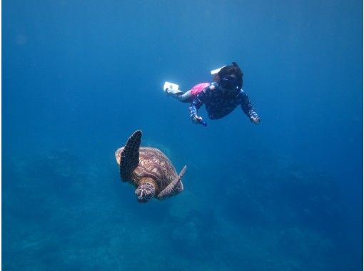 宮古島 お一人様プラン 送迎 ウエットスーツ付き 行きたいシュノーケリングポイントへプライベートツアーでご案内 アクティビティジャパン