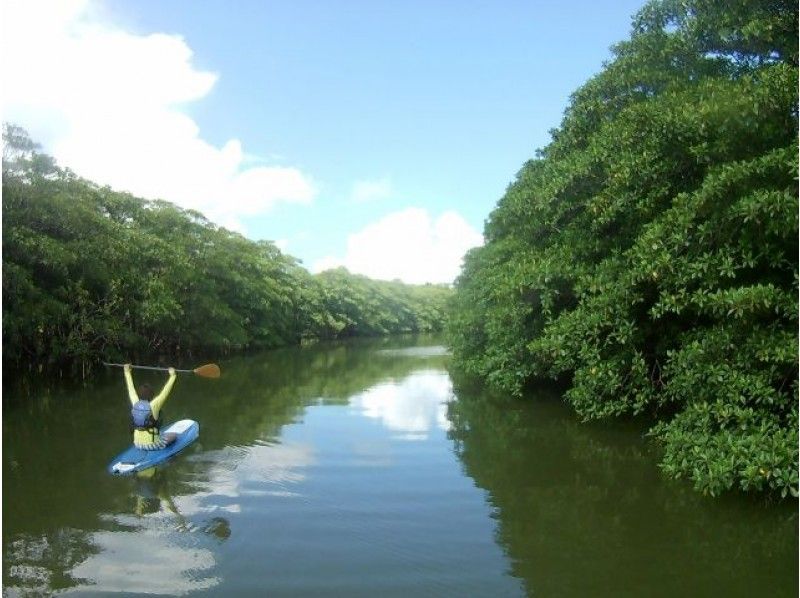[Okinawa / Ishigaki island] Mangrove jungle SUP that you can choose in the morning and afternoon!の紹介画像