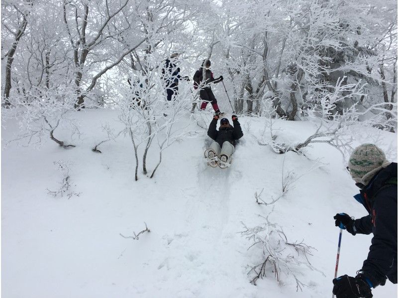 【山形県かみのやま温泉発・蔵王高原坊平】かんじき雪体験の紹介画像