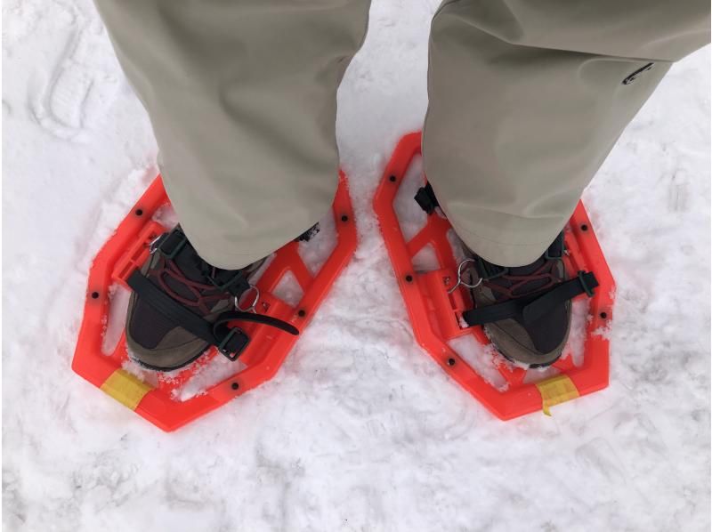 [จาก Kaminoyama Onsen จังหวัดยามากาตะ Zao Kogen Bodaira] ประสบการณ์กิจกรรมเดินหิมะ(Snowshoes) หิมะの紹介画像