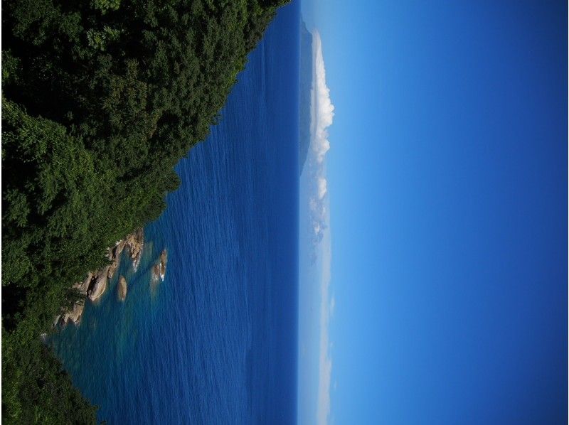 【鹿児島・屋久島】屋久島の素晴らしいスポットを見に行こう！1日島内観光（昼食付き）の紹介画像