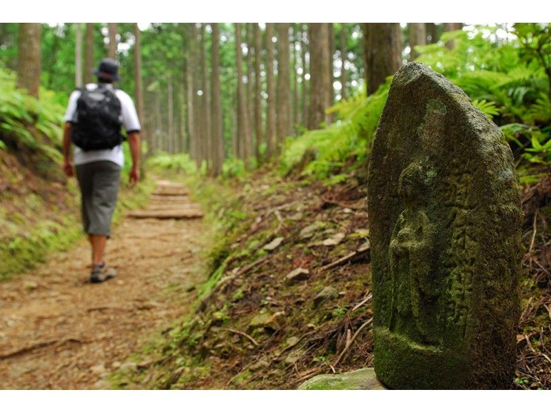 [和歌山/田邊]和經驗豐富的當地導遊同行！熊野老道朝聖之旅の紹介画像