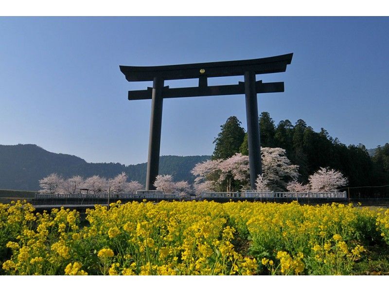 [和歌山/田边]和经验丰富的当地导游同行！熊野老道朝圣之旅の紹介画像
