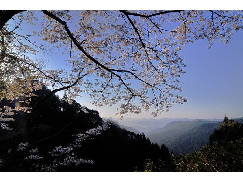 [和歌山/田邊]和經驗豐富的當地導遊同行！熊野老道朝聖之旅の紹介画像
