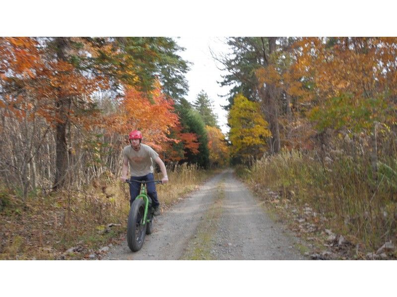 [Lake Shikotsu, Hokkaido] Ride a fat bike through nature! (Late March to October)の紹介画像