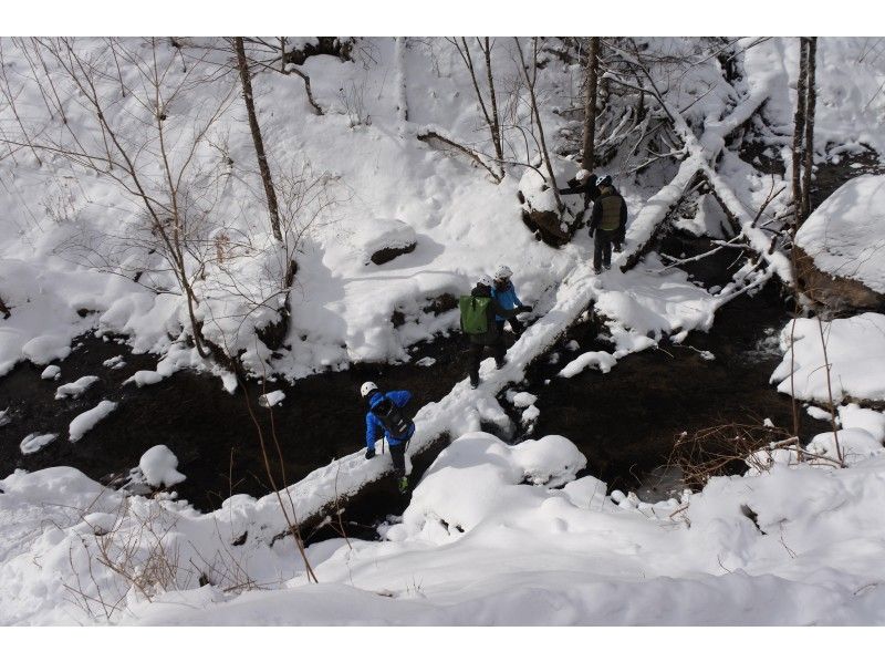 【北海道・支笏湖】ファットバイクに乗って雪の林道を走りぬこう！（12月～3月上旬）の紹介画像