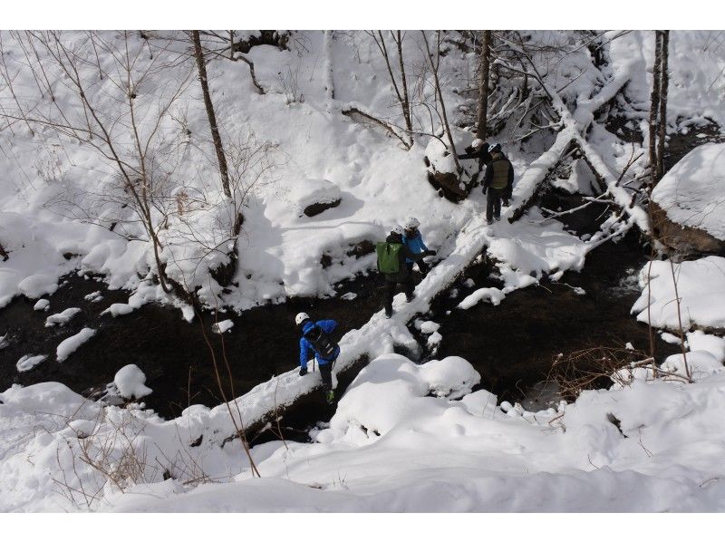 Ice Palace Shichijo Otaki Fat Bike Tour A comfortable ride! Let's go see the wonders of nature on a fat bike that can run on snow. (Hot drinks and snacks included)の紹介画像