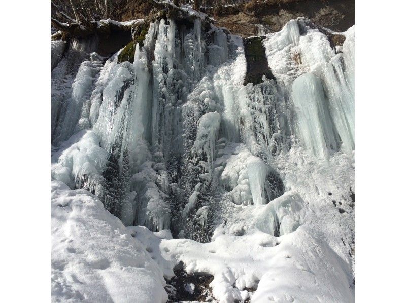 Ice Palace Shichijo Otaki Fat Bike Tour A comfortable ride! Let's go see the wonders of nature on a fat bike that can run on snow. (Hot drinks and snacks included)の紹介画像