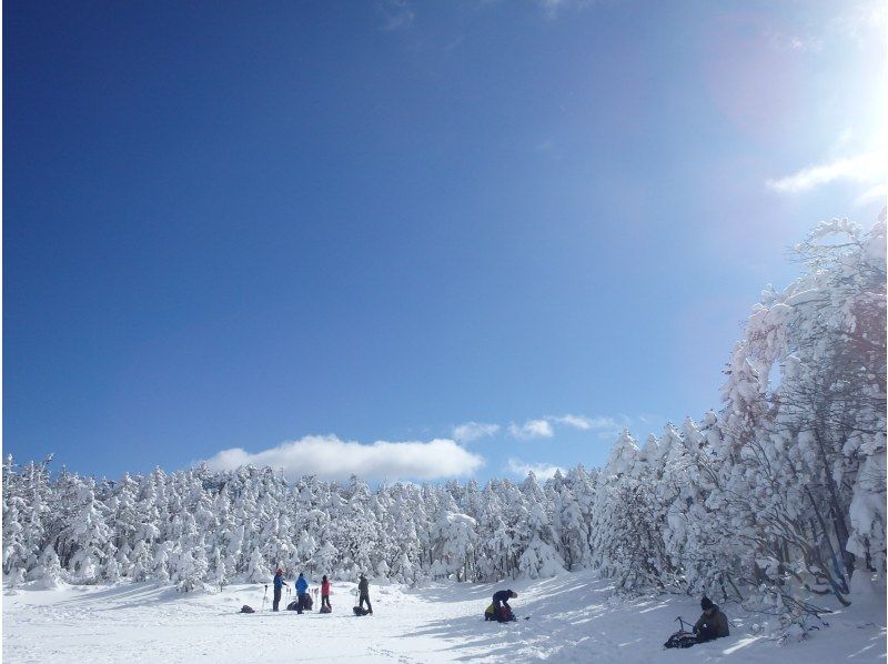 【長野・八ヶ岳・ピラタス蓼科スノーリゾート】雪山入門　初心者・グループ大歓迎！無料スノーシューレンタル付　北横岳スノーシューハイクツアーの紹介画像