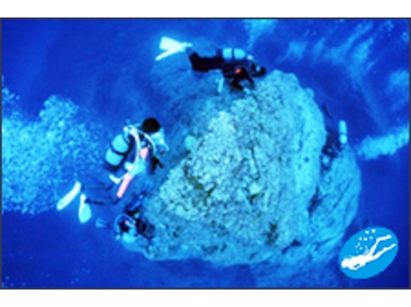 [Wakayama ・ Enomoto]Diving C card Getting licenses Course [Open Water Diver Course]の紹介画像