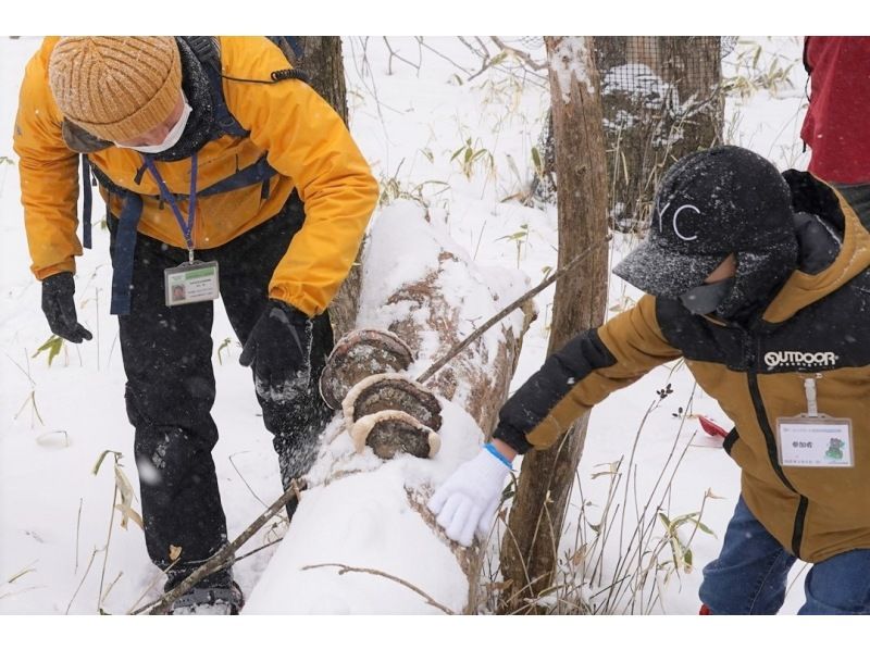 【栃木・奥日光】自然の秘密を探しに行こう！早春のフィールドワーク会！【生き物や生態系に触れる】の紹介画像