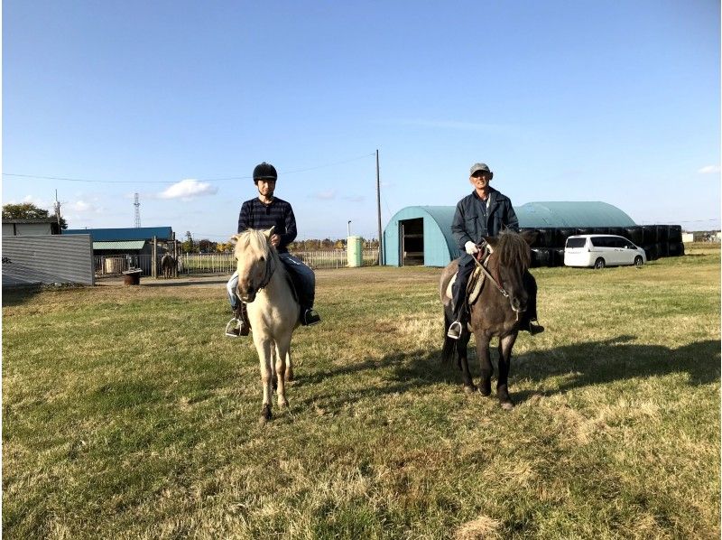馬の木彫り、木彫りの馬、道産子馬木彫り、道産子馬、北海道の馬、番場馬 馬の木彫り、木彫りの馬、道産子馬木彫り、道産子馬、北海道の馬、番場馬