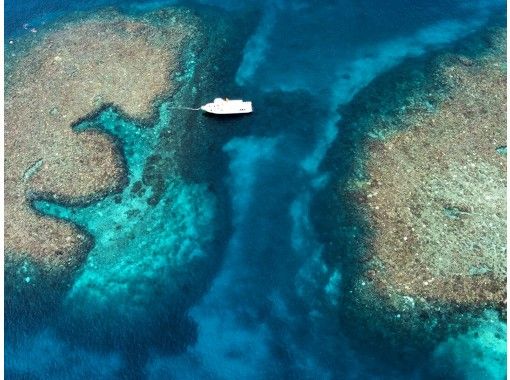 宮古島 八重干瀬エリア3 4ポイント巡る 八重干瀬半日シュノーケルトリップ bコース午後便 アクティビティジャパン 宮古島 八重干瀬エリア3 4ポイント巡る 八重干瀬半日シュノーケルトリップ bコース午後便 アクティビティジャパン