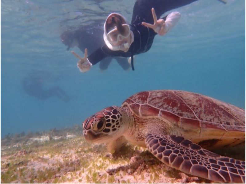 [沖繩宮古島] [2海灘]全國旅行支持優惠券OK！海龜和熱帶魚享受浮潛潛水衣隨時免費租借の紹介画像
