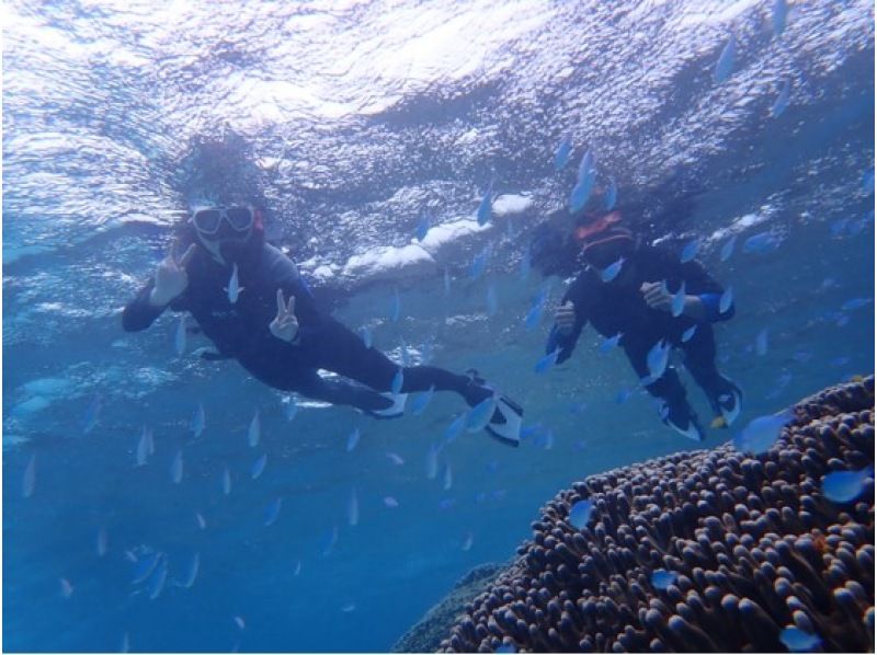 [沖繩宮古島] [2海灘]全國旅行支持優惠券OK！海龜和熱帶魚享受浮潛潛水衣隨時免費租借の紹介画像