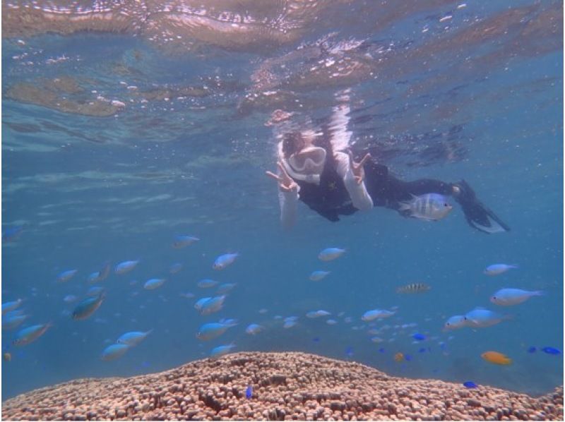 [โอกินาว่ามิยาโกจิม่า] [2 ชายหาด] คูปองสนับสนุนการเดินทางระดับชาติตกลง! เต่าทะเลและปลาเขตร้อน เพลิดเพลินกับการดำน้ำตื้น ชุดประดาน้ำ เช่าฟรีทุกเวลาの紹介画像