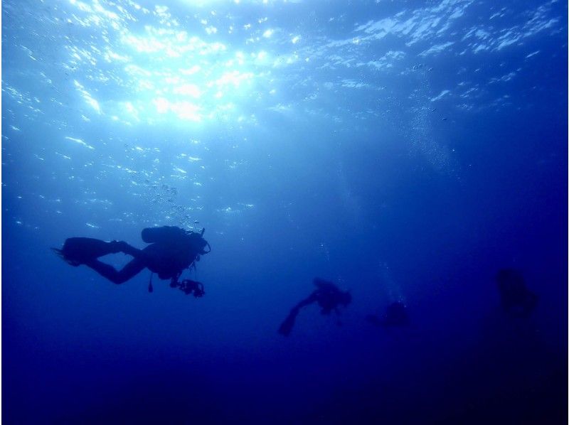 [Tokyo / Izu Oshima] Beginners are welcome! Enjoy the sea on the island closest to Tokyo Safe and secure 2 beach fun Diving!の紹介画像