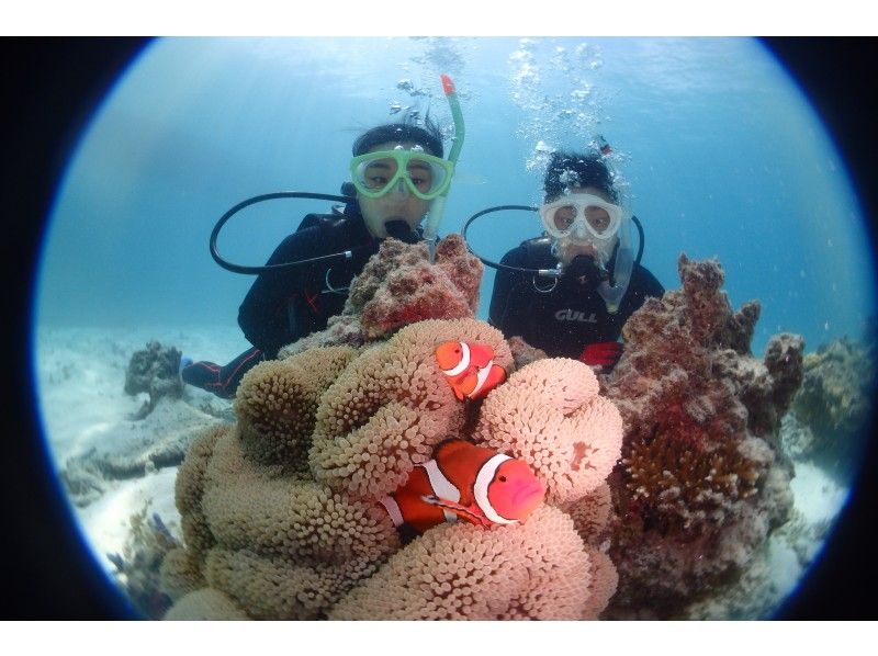 マッサダイビングクラブ MASSA DIVING CLUBの割引プラン