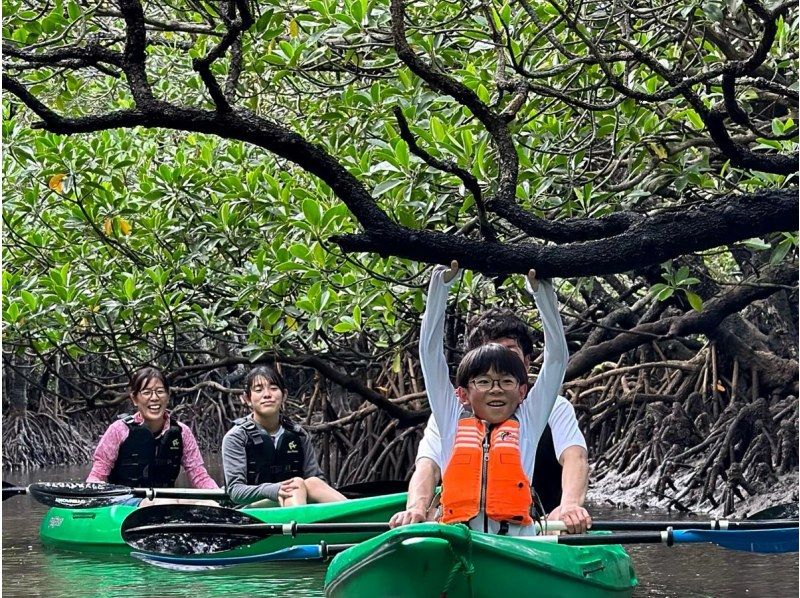 【石垣島最大の国立公園マングローブをカヤック探検】初心者も安心の少人数制♪　映える高画質動画と写真撮影付きで家族や友達との思い出を（２時間）の紹介画像