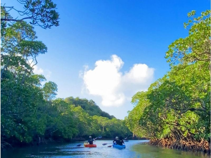 【石垣島】&ldquo;2組だけ&rdquo;の約束。国立公園プライベートカヤック。家族との特別な時間に《ガイドを独占＆高画質動画付／2300名超案内／評価4.9》の紹介画像