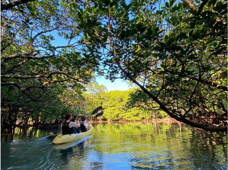 【石垣島最大の国立公園マングローブをカヤック探検】初心者も安心の少人数制♪　映える高画質動画と写真撮影付きで家族や友達との思い出を（２時間）の紹介画像