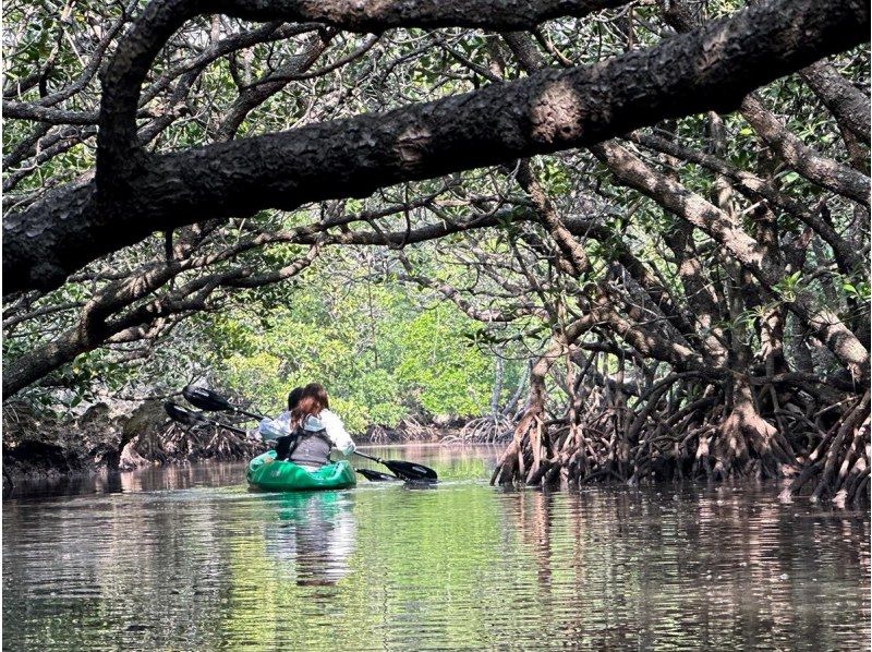 【石垣島】&ldquo;2組だけ&rdquo;の約束。国立公園プライベートカヤック。家族との特別な時間に《ガイドを独占＆高画質動画付／2300名超案内／評価4.9》の紹介画像