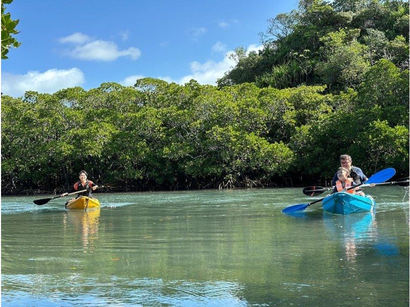 【石垣島】&ldquo;2組だけ&rdquo;の約束。国立公園プライベートカヤック。家族との特別な時間に《ガイドを独占＆高画質動画付／2300名超案内／評価4.9》の紹介画像