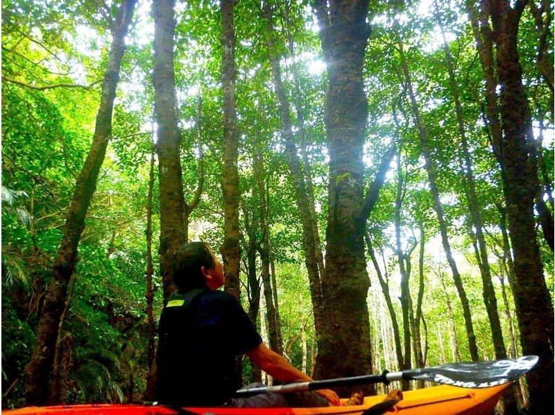 【石垣島】&ldquo;2組だけ&rdquo;の約束。国立公園プライベートカヤック。家族との特別な時間に《ガイドを独占＆高画質動画付／2300名超案内／評価4.9》の紹介画像