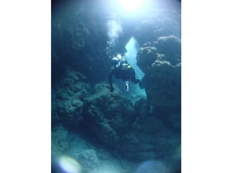 【奄美大岛·Kakeriala岛深潜 】体验潜水（海滩）の紹介画像