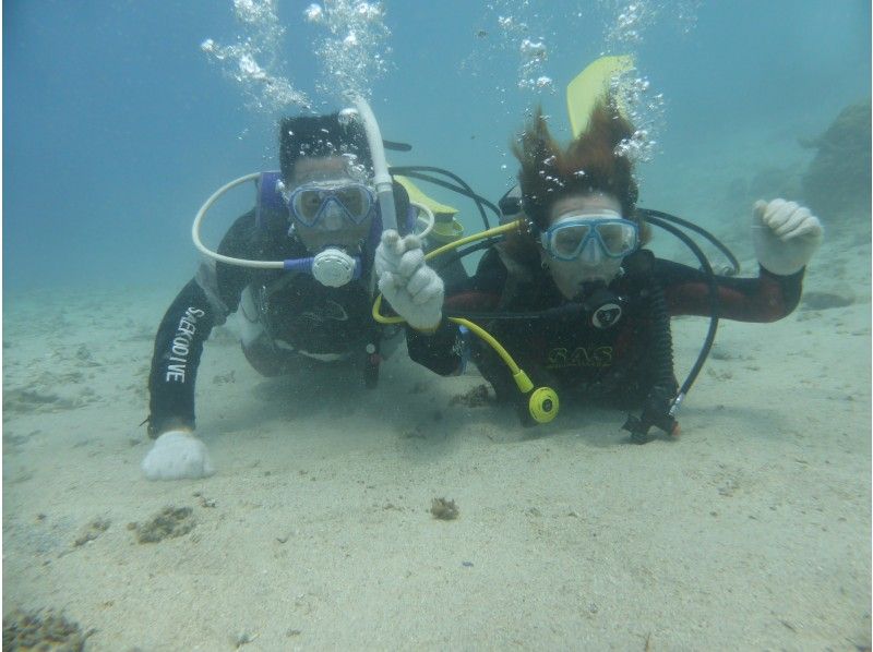 半日一組貸し切りリフレッシュビーチダイビング　～おひとり様OK　送迎あり那覇空港・那覇市内(おもろまち新都心・首里地区は除くまで～の紹介画像