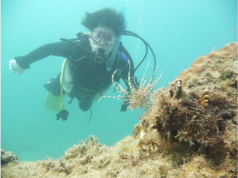 半日一組貸し切りリフレッシュビーチダイビング　～おひとり様OK　送迎あり那覇空港・那覇市内(おもろまち新都心・首里地区は除くまで～の紹介画像