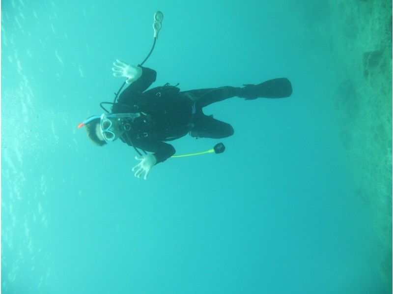 半日一組貸し切りリフレッシュビーチダイビング　～おひとり様OK　送迎あり那覇空港・那覇市内(おもろまち新都心・首里地区は除くまで～の紹介画像