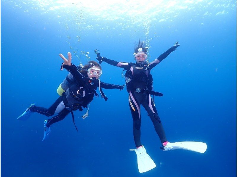 【那覇発／慶良間諸島】1日まるっとガイド貸切☆2ダイブ＆シュノーケリング☆動画無料プレゼント！世界に誇るケラマで体験ダイビングの紹介画像