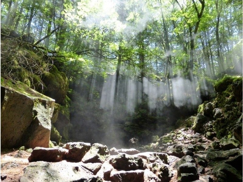 [Yamanashi / Lake Kawaguchi] Aokigahara Jukai / Cave Exploration Mystery Course "A Course"の紹介画像