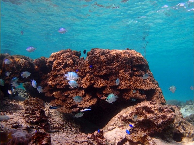 【３歳OK】【恩納村】【1組貸切り】カヤックで行く無人島＆熱帯魚シュノーケリング【駐車場無料・温水シャワー無料】の紹介画像