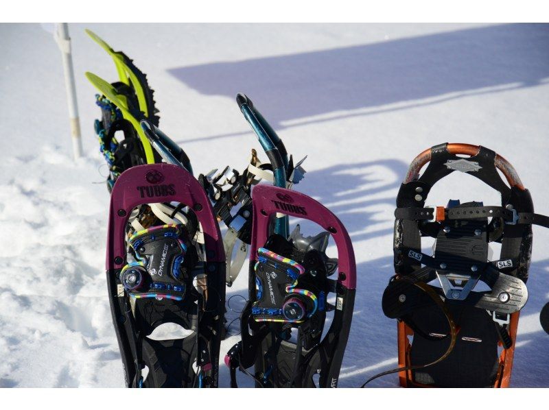 [Sapporo Moerenuma Park] Snowshoe experience & playing in the snow with everyone (half-day plan)の紹介画像