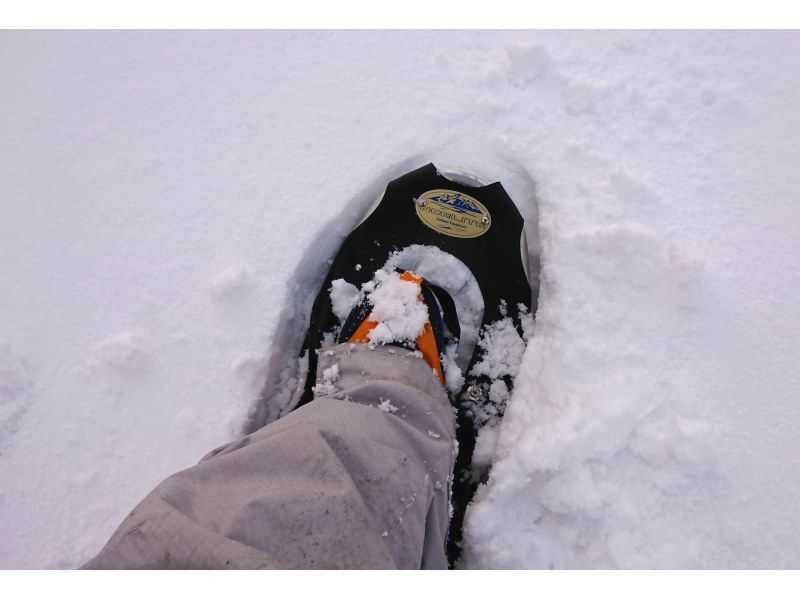 [Sapporo Moerenuma Park] Snowshoe experience & playing in the snow with everyone (half-day plan)の紹介画像