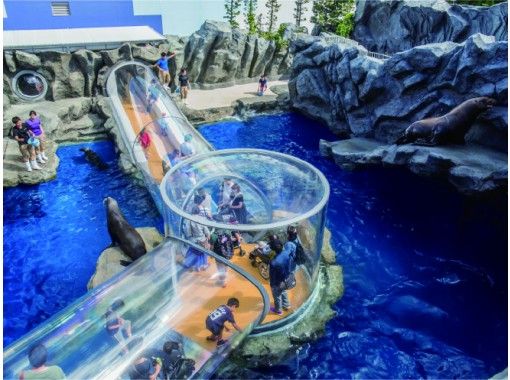 2/14(日)開催 三重・鳥羽水族館 うら側探検隊「スナメリツアー