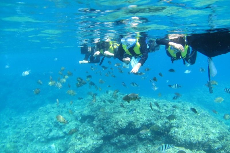 沖縄の事業者「マリンクラブジジ」が実施するシュノーケリングツアーの様子