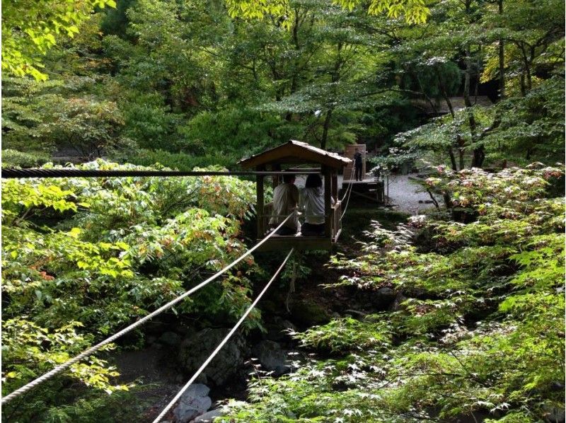 [德岛市]计程车计划“躲避未开发地区，年の紹介画像