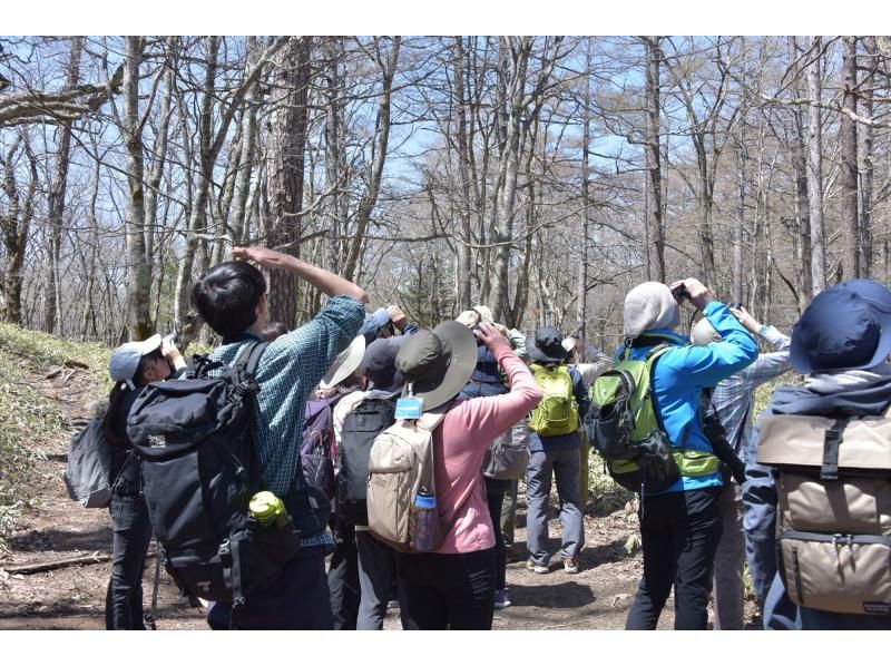 【栃木・奥日光】奥日光バードウォッチング三昧！【初心者大歓迎】の紹介画像