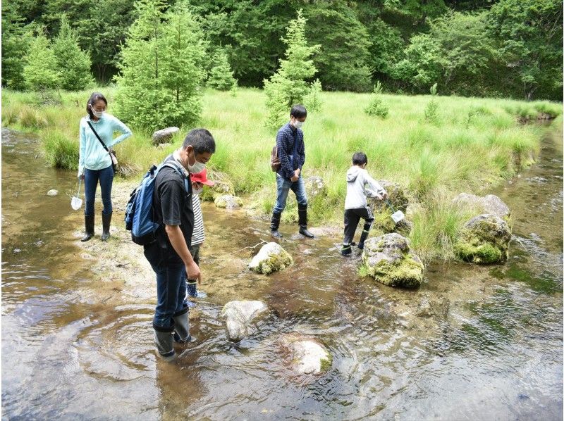 カッチカチのコウチュウたちを探せ！奥日光・ムシムシ観察会【大自然の中で昆虫と触れ合う】の紹介画像