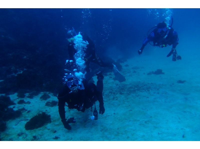ダイブショップソル Dive Shop SOLの割引プラン