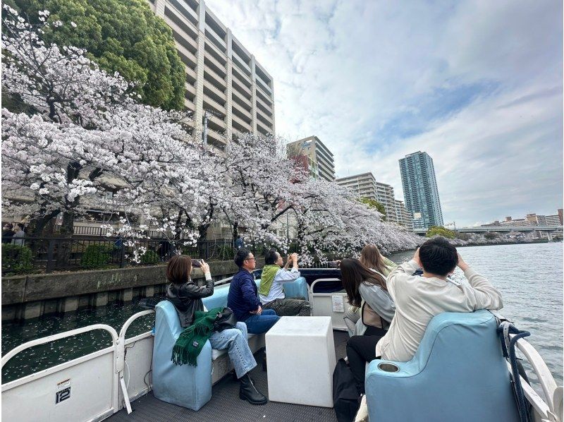 2025 Osaka Cherry Blossom Viewing Sakura Cruise Private Charter [Very Popular]の紹介画像